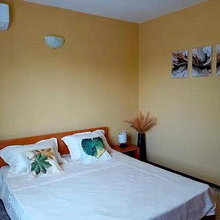 Solis Guest house 2*